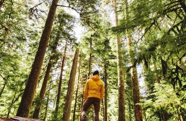 Guided Backpacking in Olympic National Park
