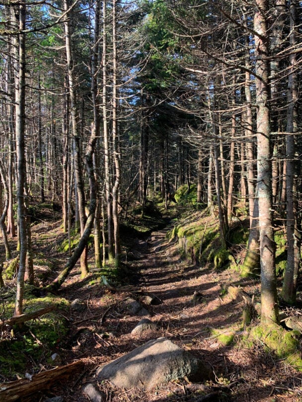 Women’s Pemi Loop Backpacking Trip