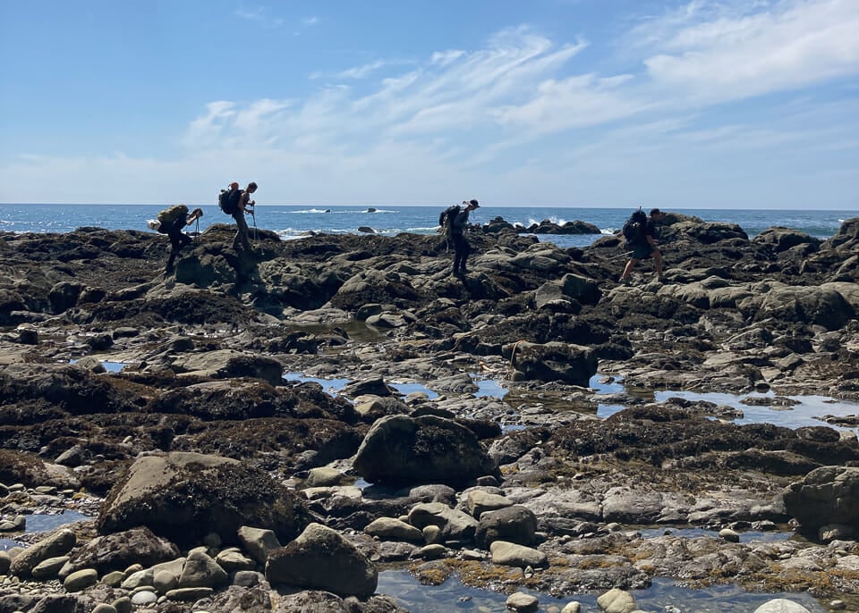 Hikers on the Olympic NP shore