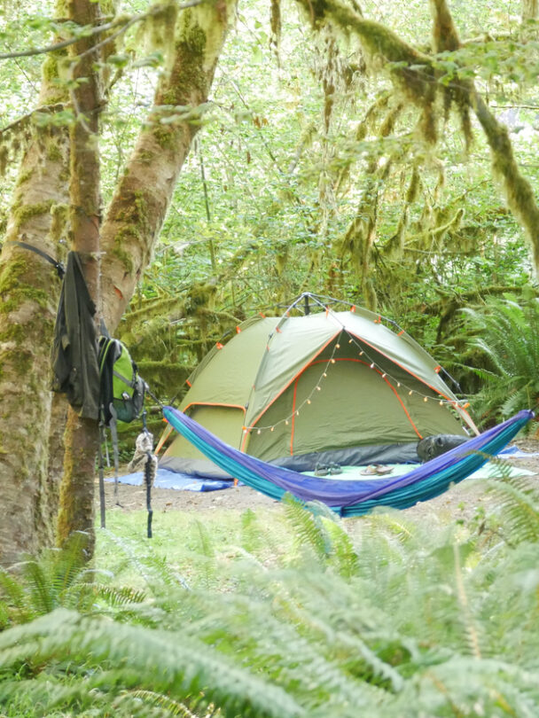 Guided Backpacking in Olympic National Park
