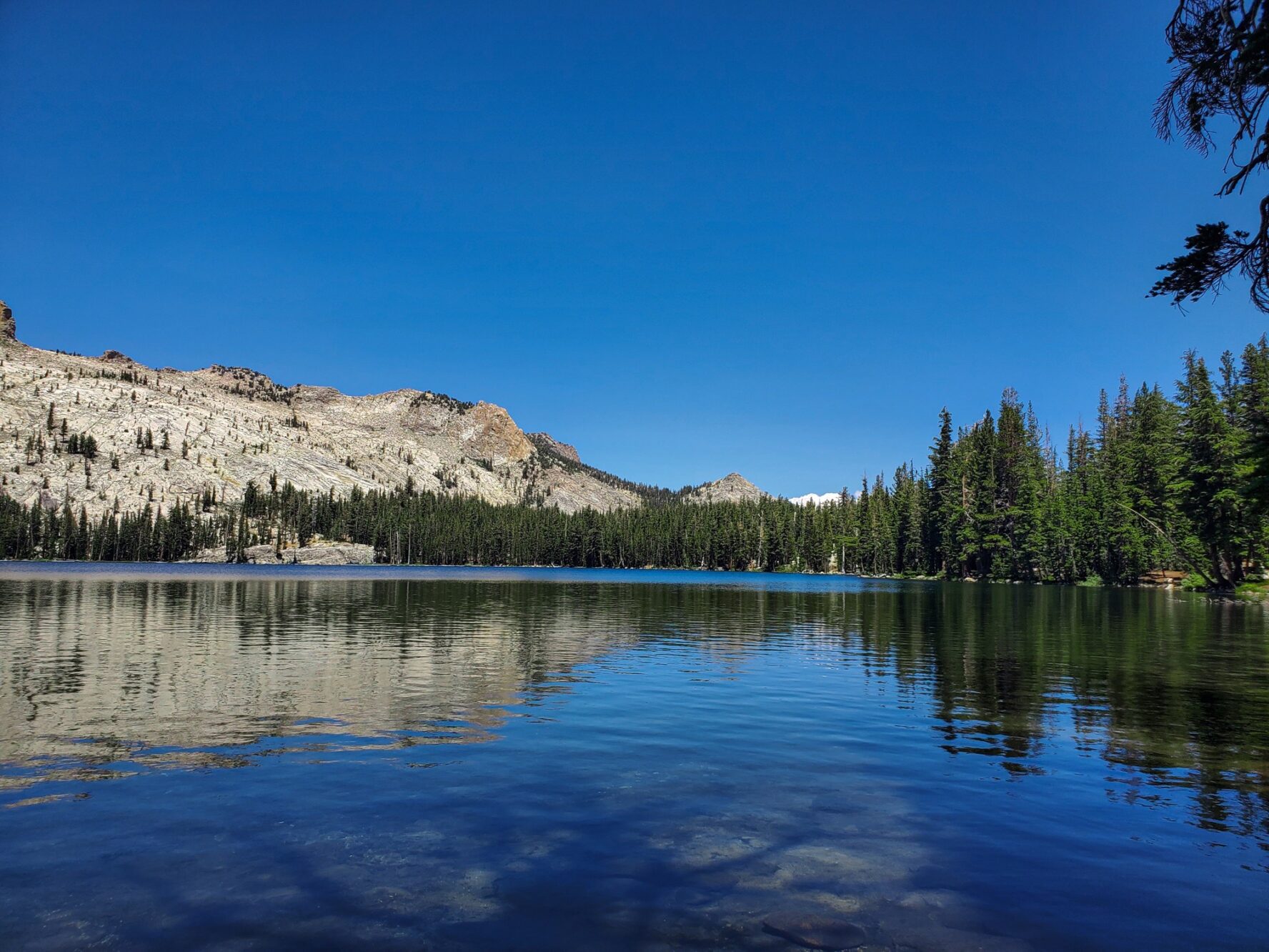 May Lake in Yosemite, during summer.
