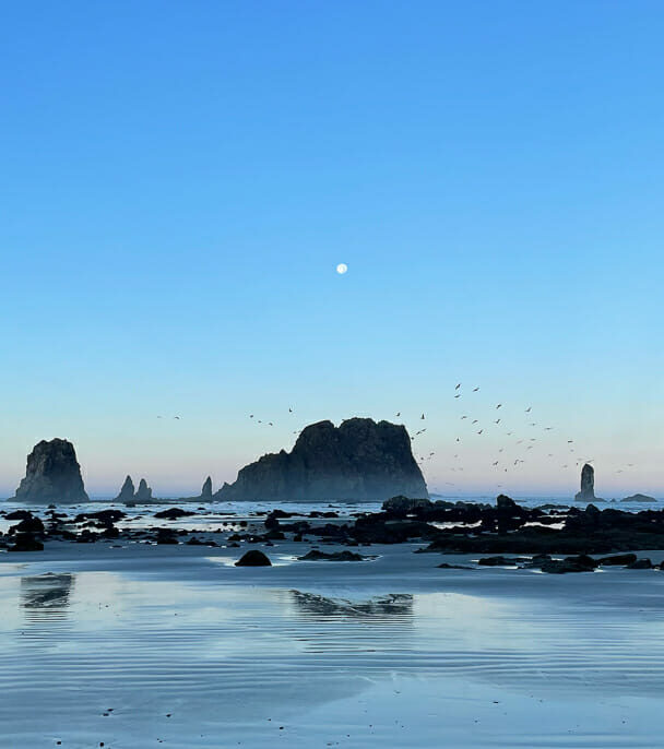 Guided Backpacking in Olympic National Park