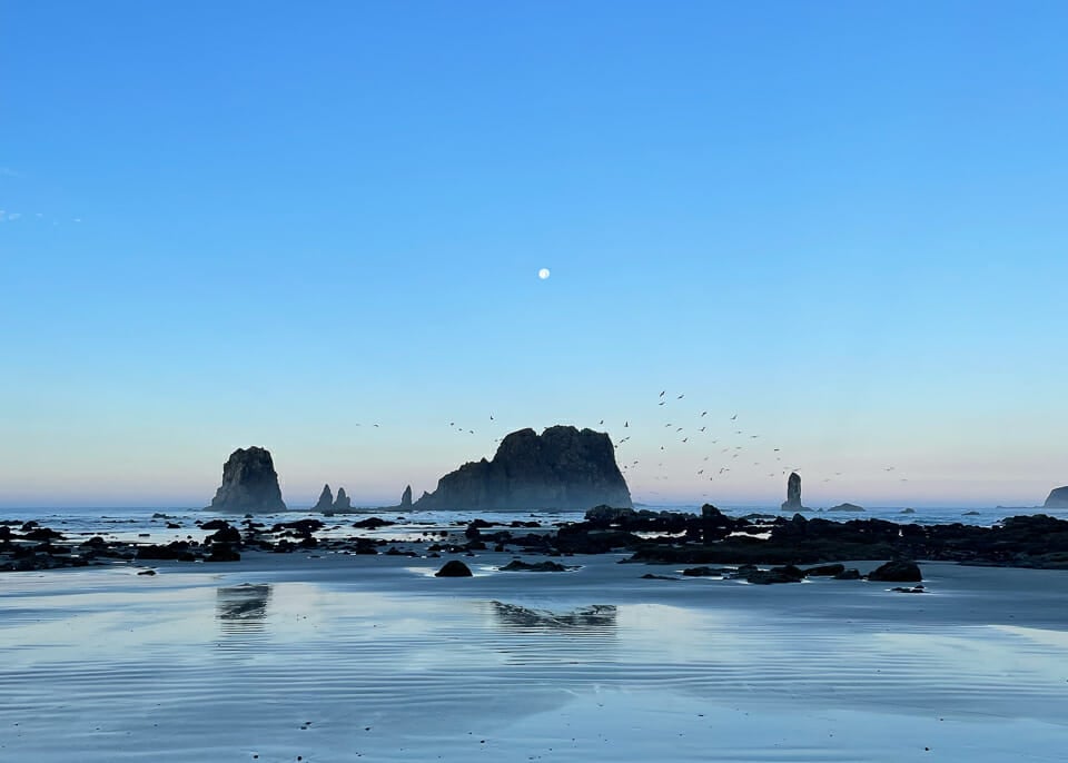 Olympic North Coast backpacking