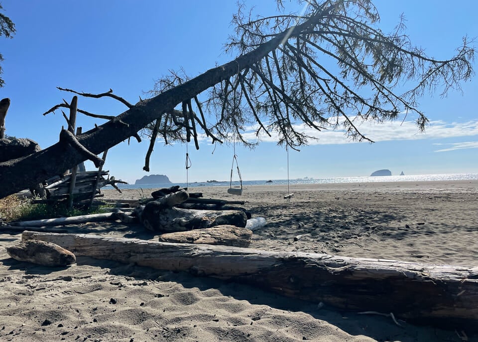 Olympic NP beach