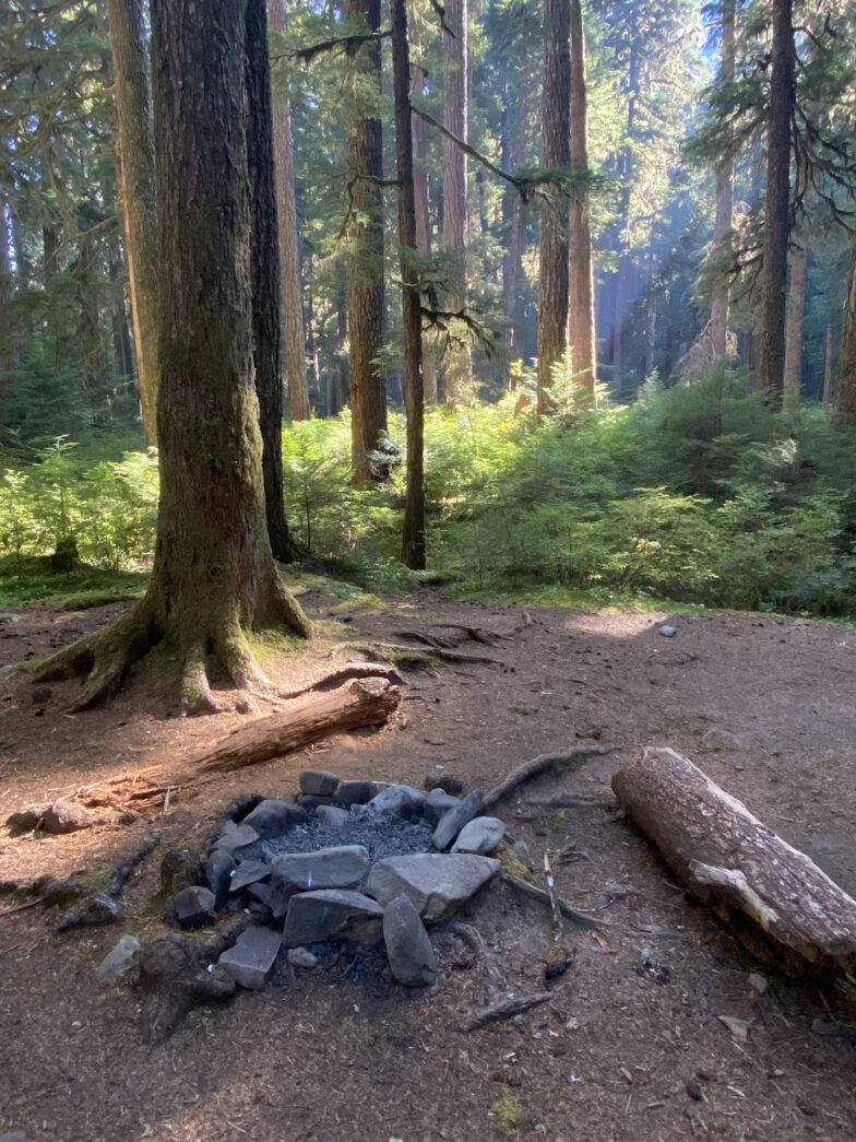 Guided Backpacking Trips in Olympic National Park 57hours