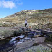 Hiker taking her dog across a bridge on Norway’s Trolltunga Trail