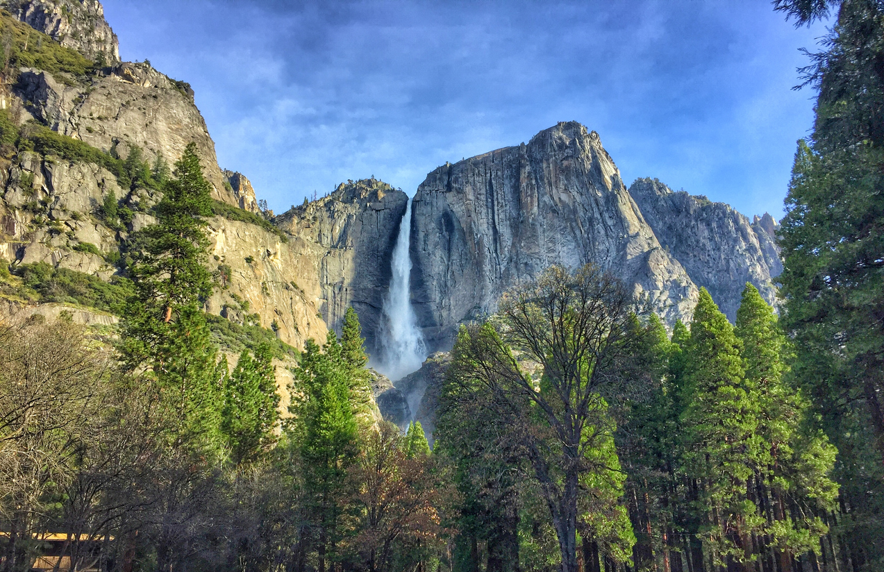 Hiking Half Dome & Yosemite NP l Guided Tour l 57hours