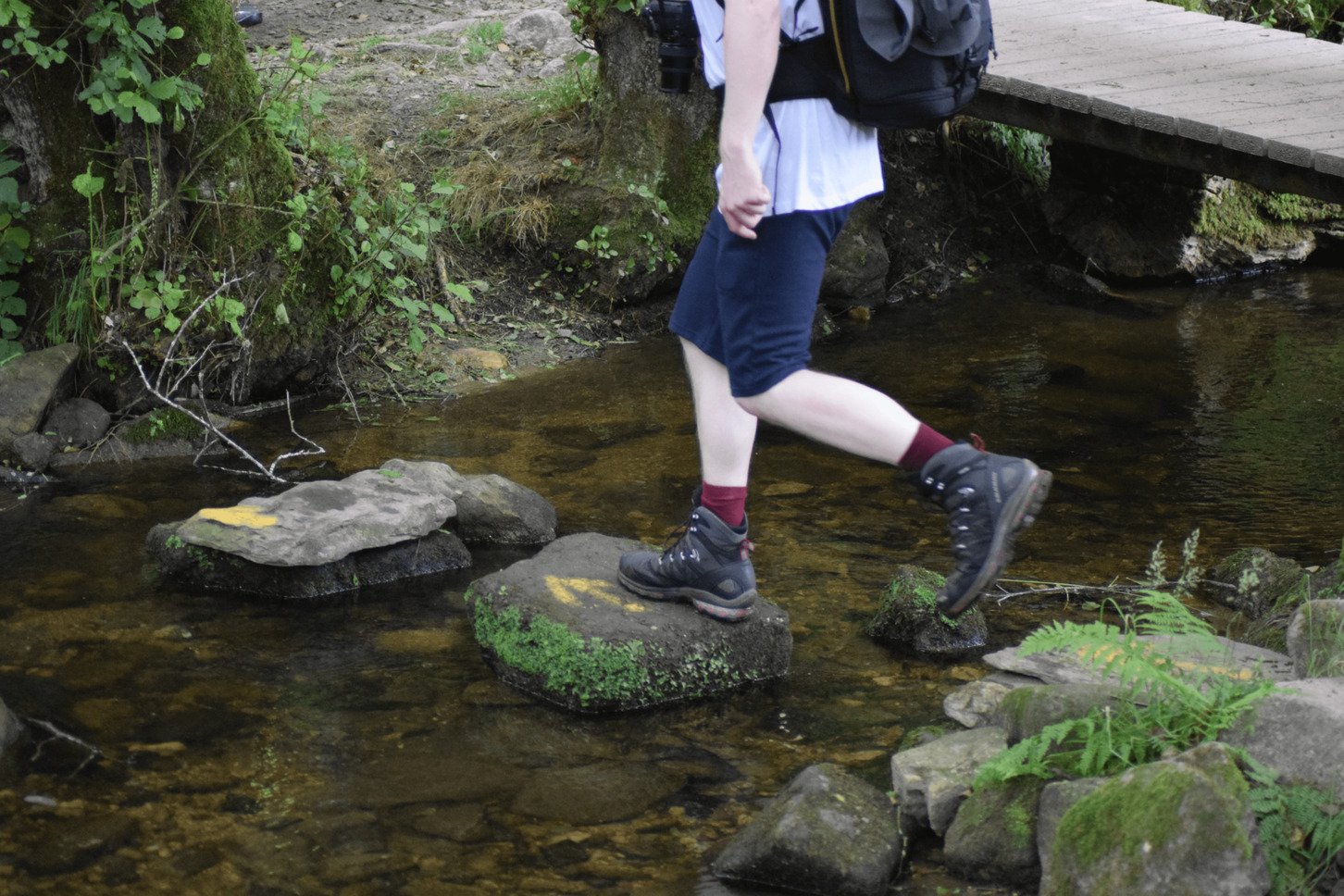 Camino Frances and river