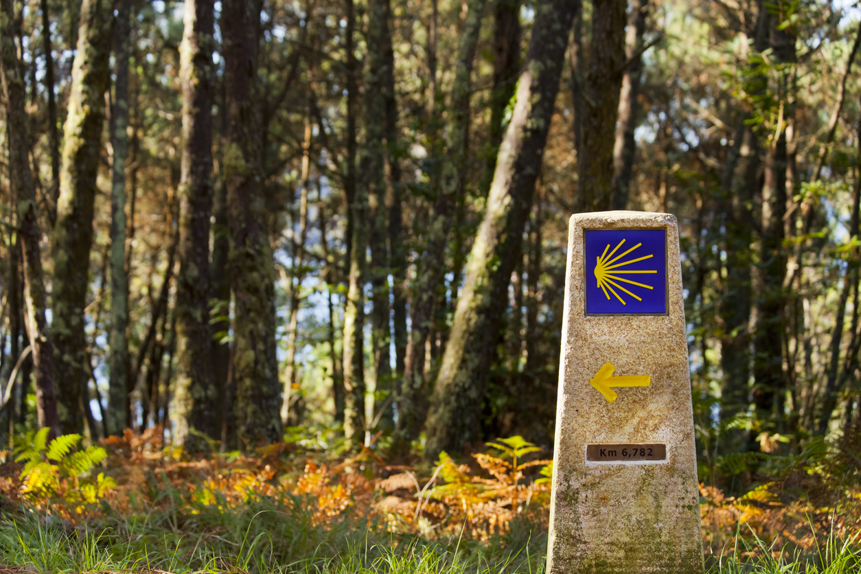 Camino scallop sign