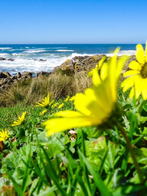 Guided tour of Camino de Santiago