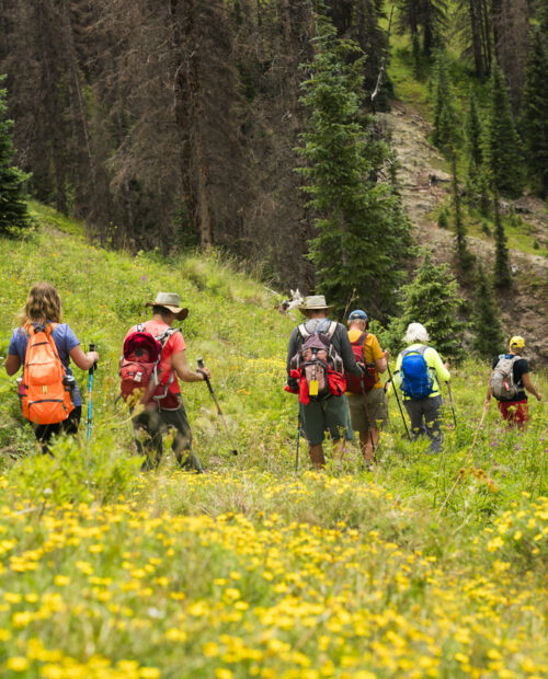 Educational Hiking and Camping Adventure at Cameron Pass.