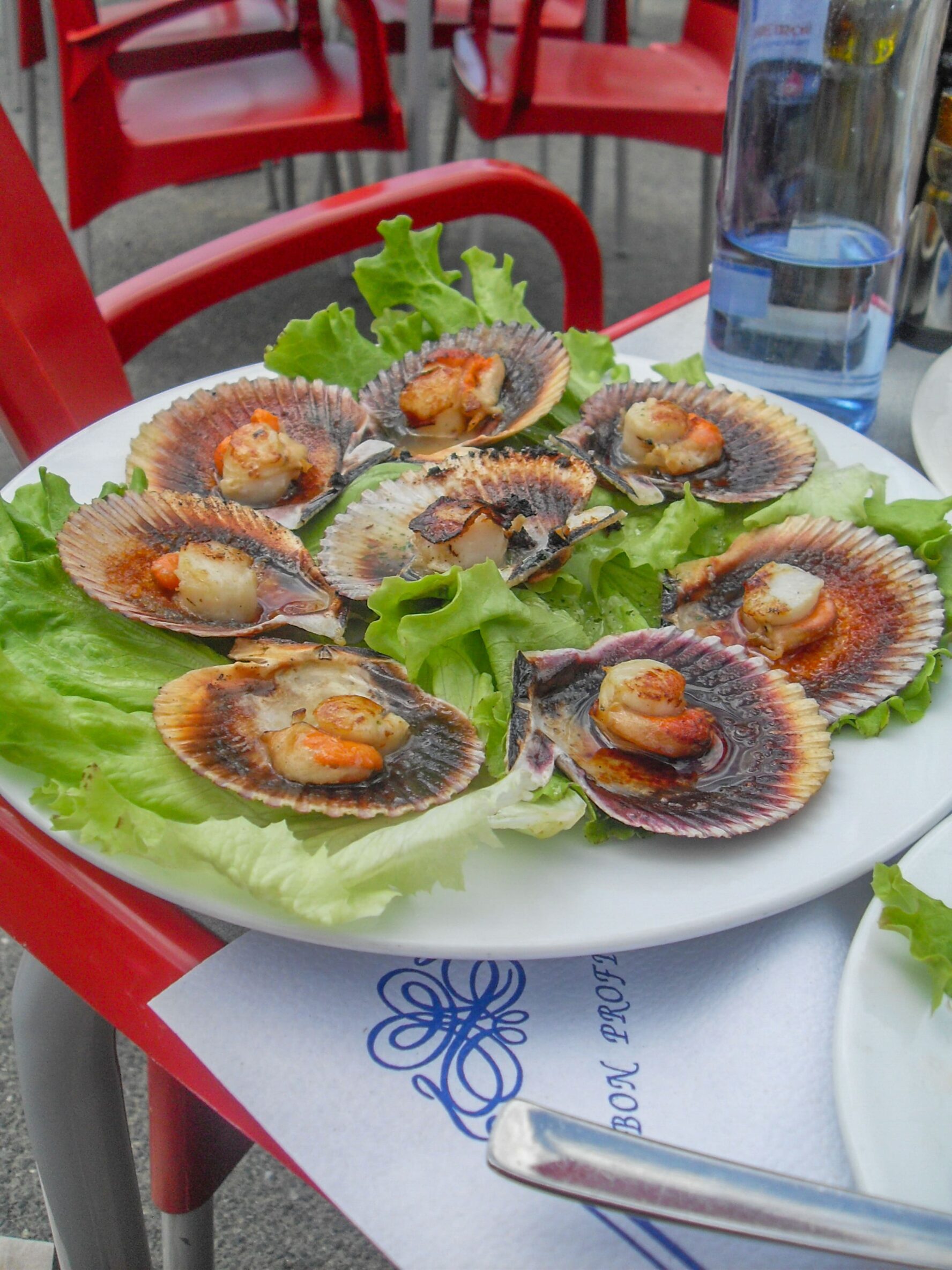 Food on the Camino Frances