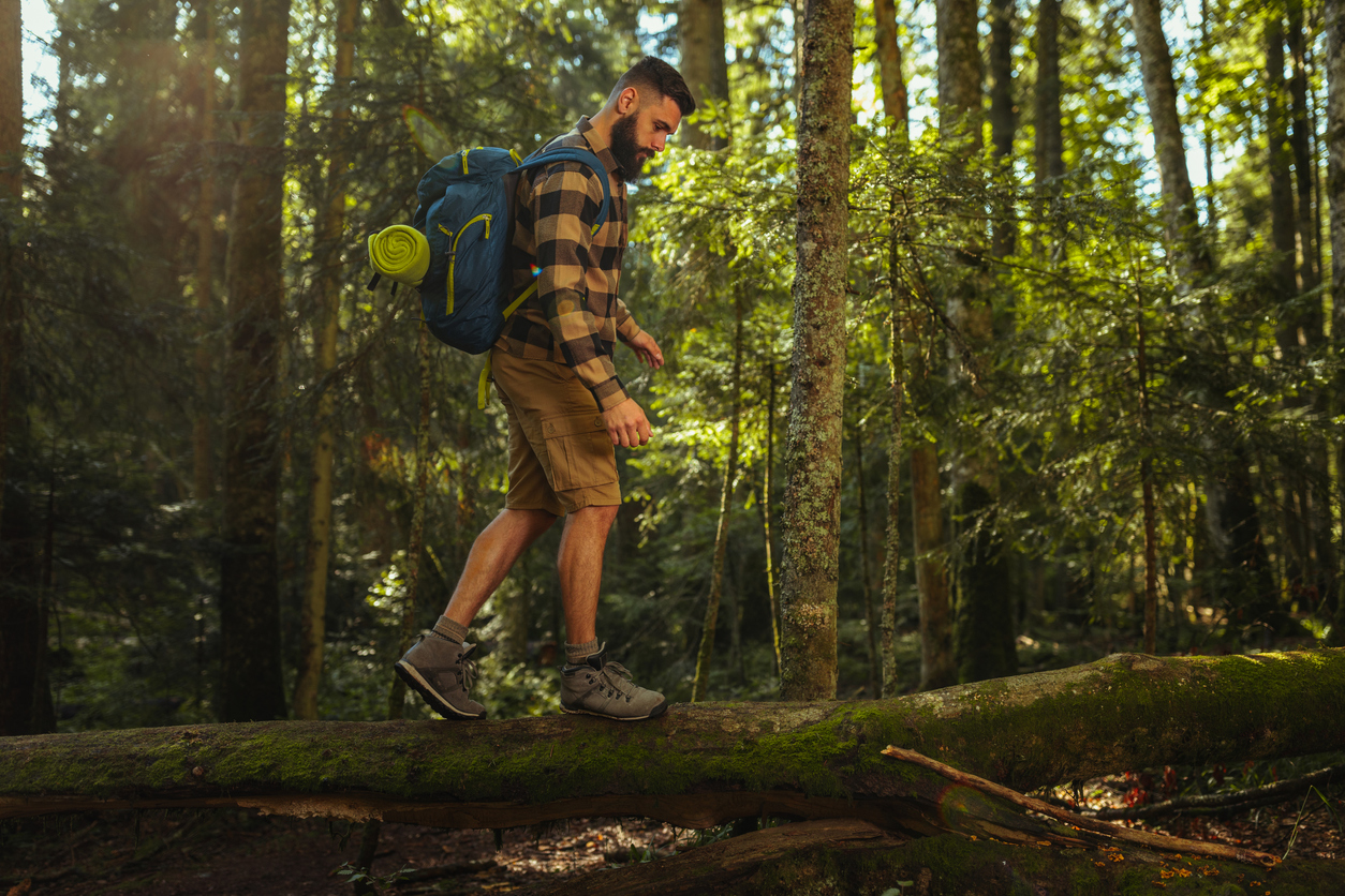 A hiker hiking in a conifer forest at Cameron Pass.