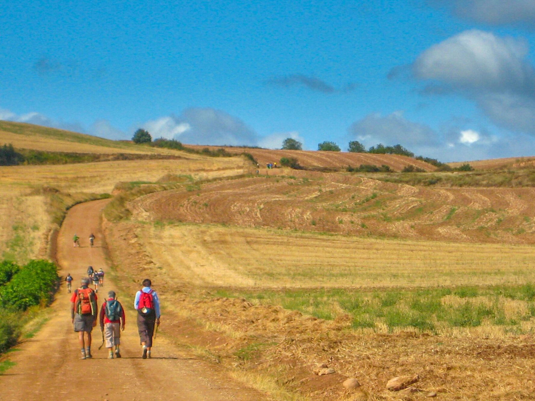 Group of Camino hikers walking through fields