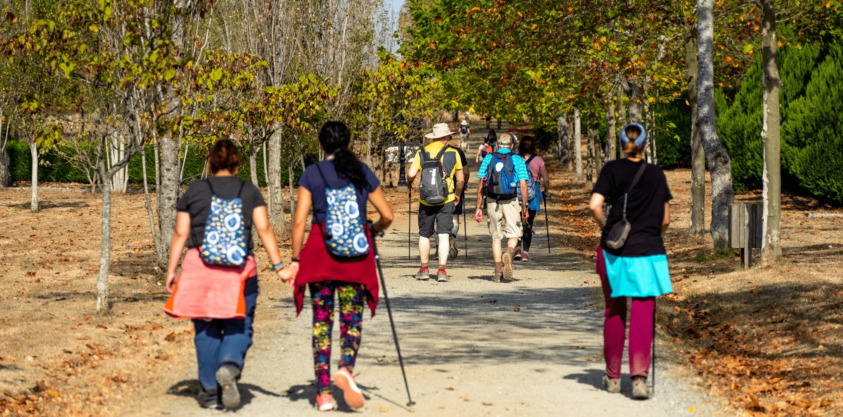 Group hikers in Camino