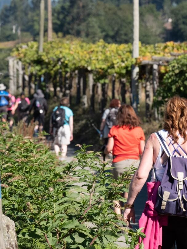 Hiking group along Camino de Santiago