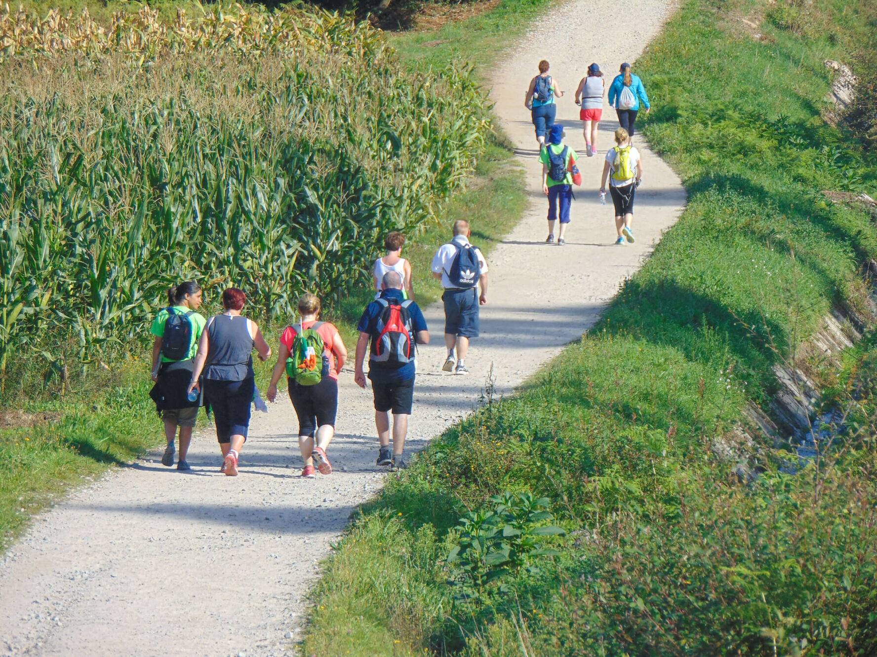 Guided hiking tour along Camino de Santiago