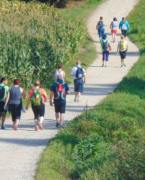 Guided hiking tour along Camino de Santiago