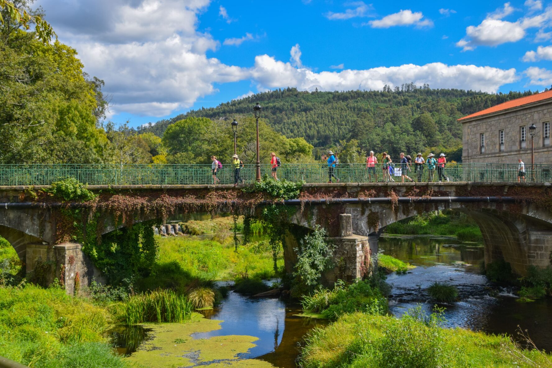 Guided tour of Camino de Santiago