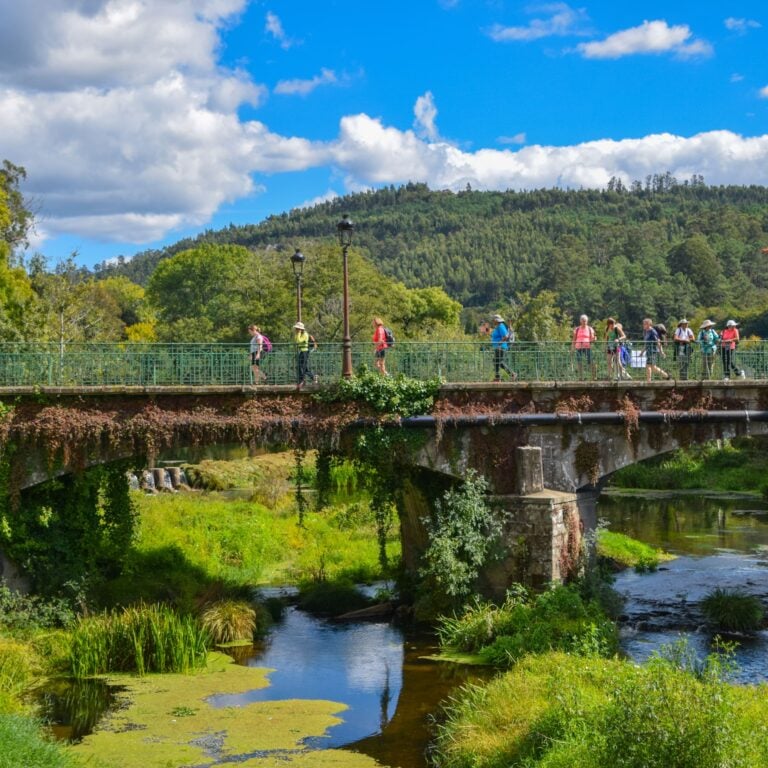 Guided tour of Camino de Santiago