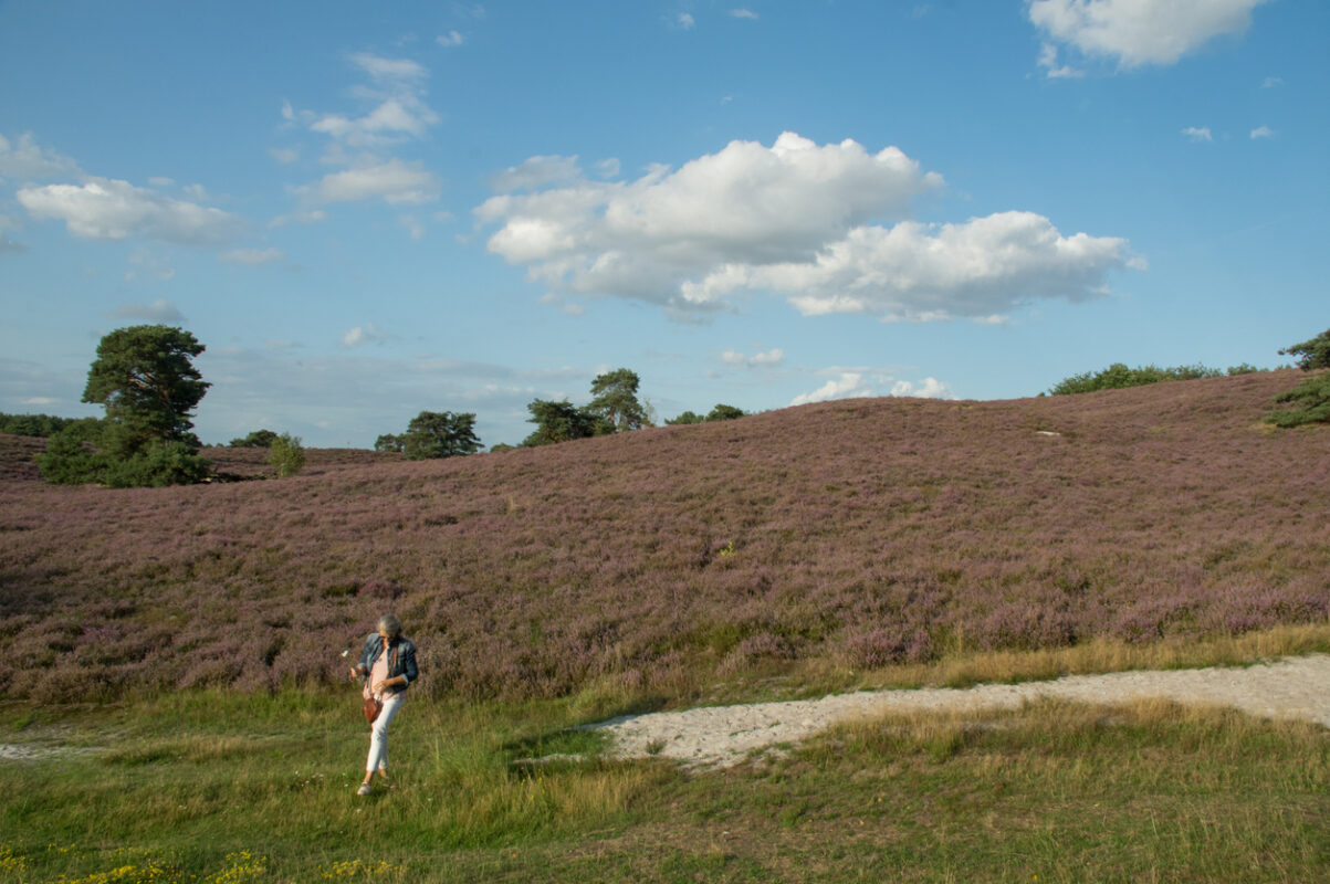 Woman hiking in the Quantock Hills, with a small hill covered in heather.