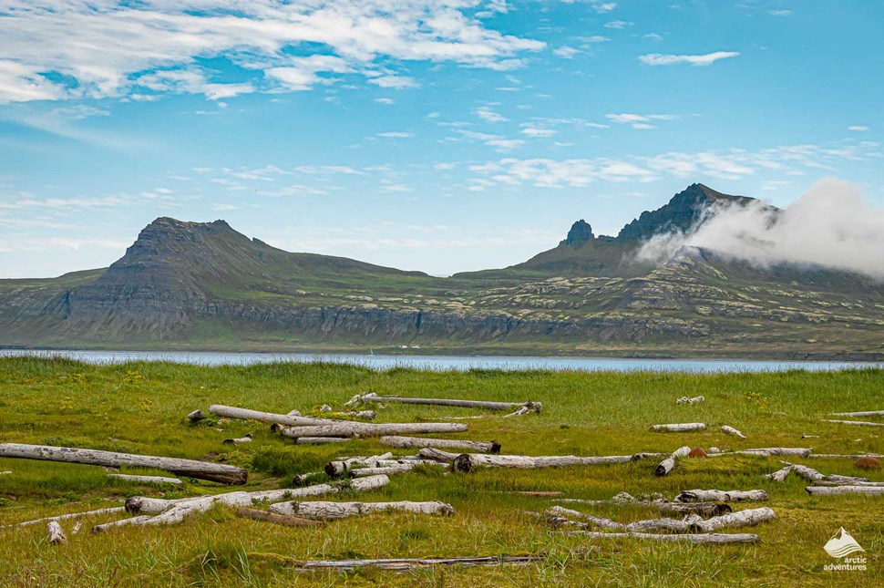 Hornstrandir in Iceland