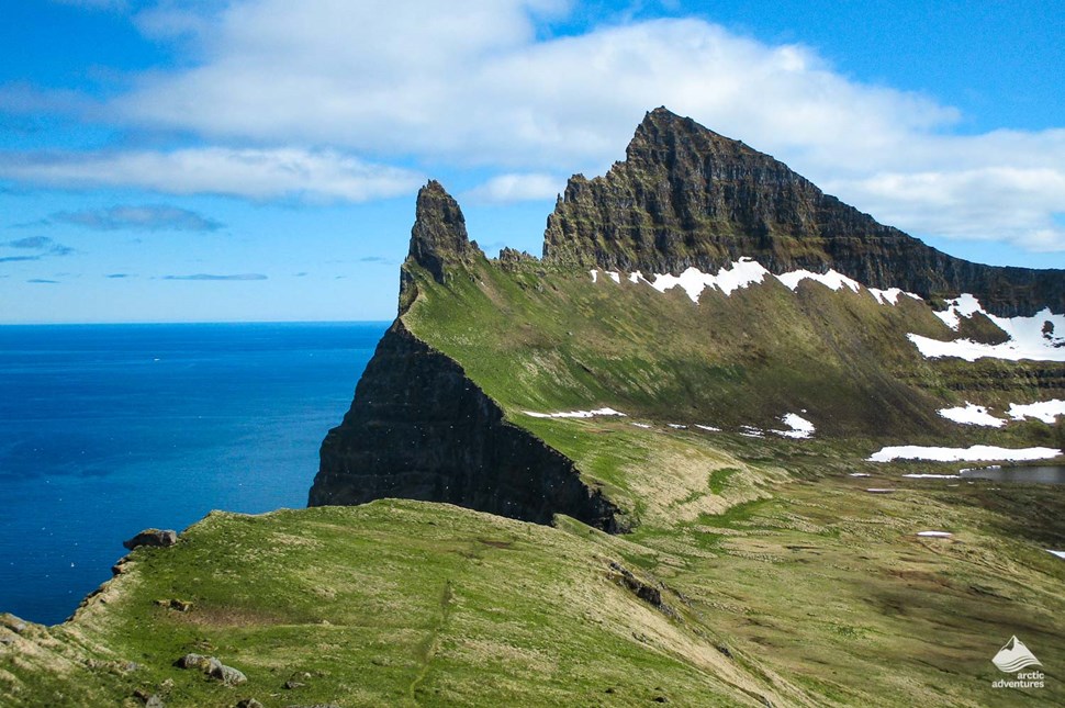 Hornstrandir path in summer, birds