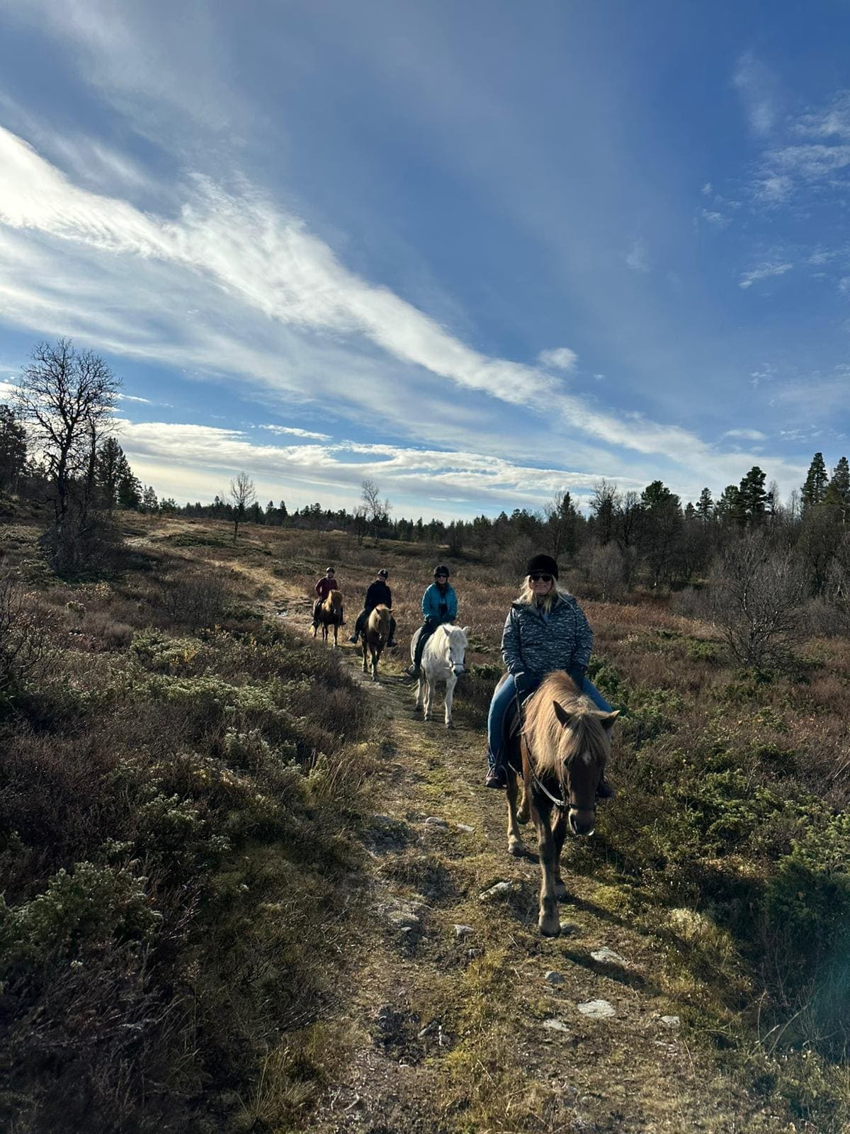 Horseback riding in Norway