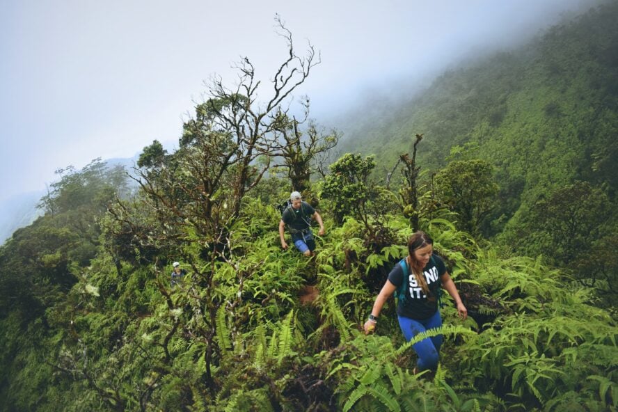 Pair of hikers traversing the Ka’au Crater jungle