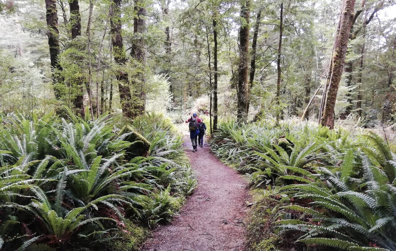 Kepler track, Fiordland