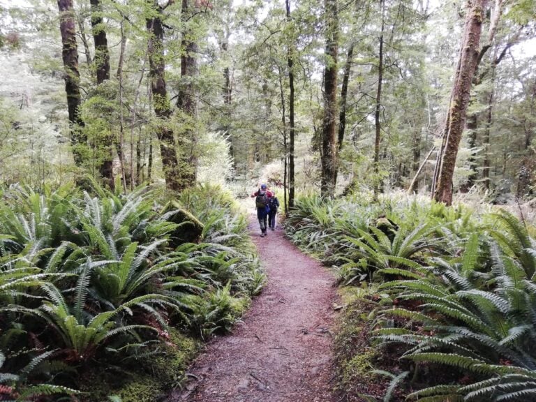 Kepler track, Fiordland