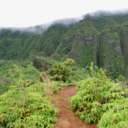 Ko’olau Summit Trail in Oahu, Hawaii