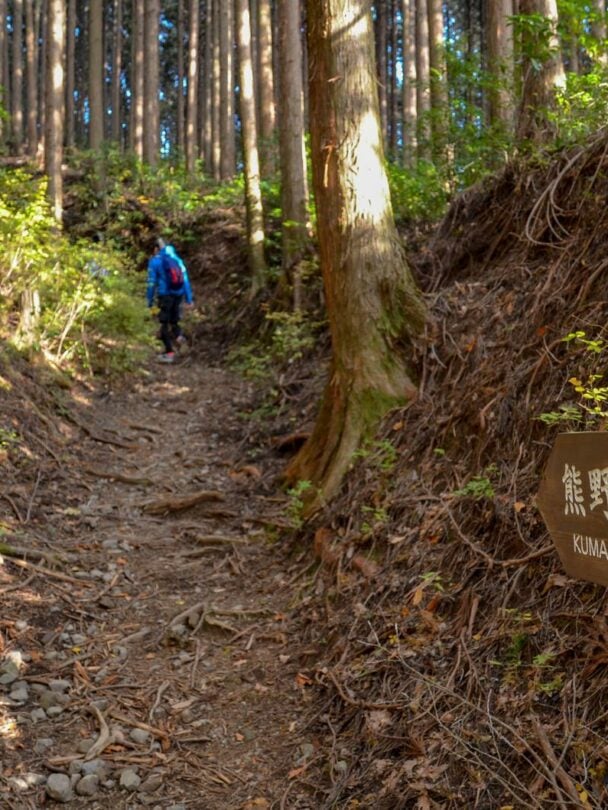 Guided hike and bike tour along Kumano Kodo in Japan