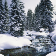 A snowy cascading creek in Lake Tahoe