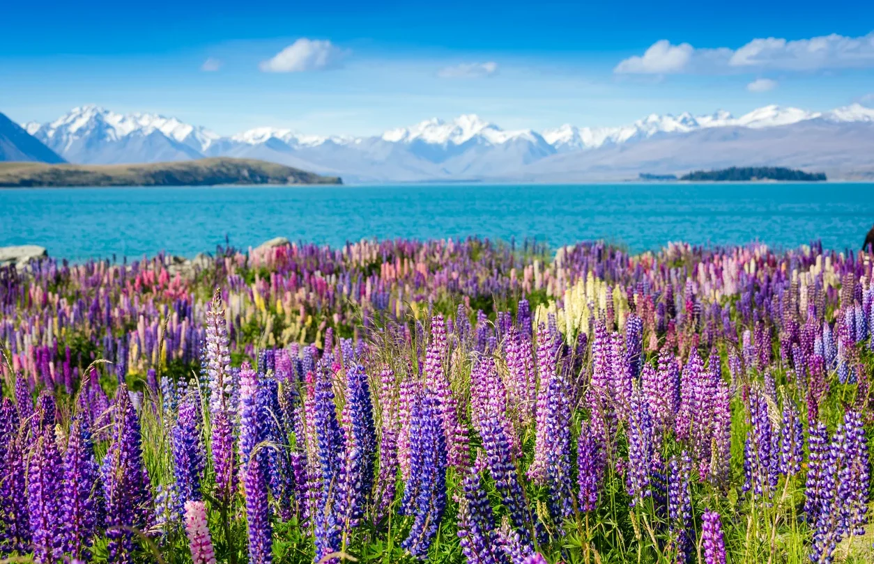 Lake Tekapo in New Zealand