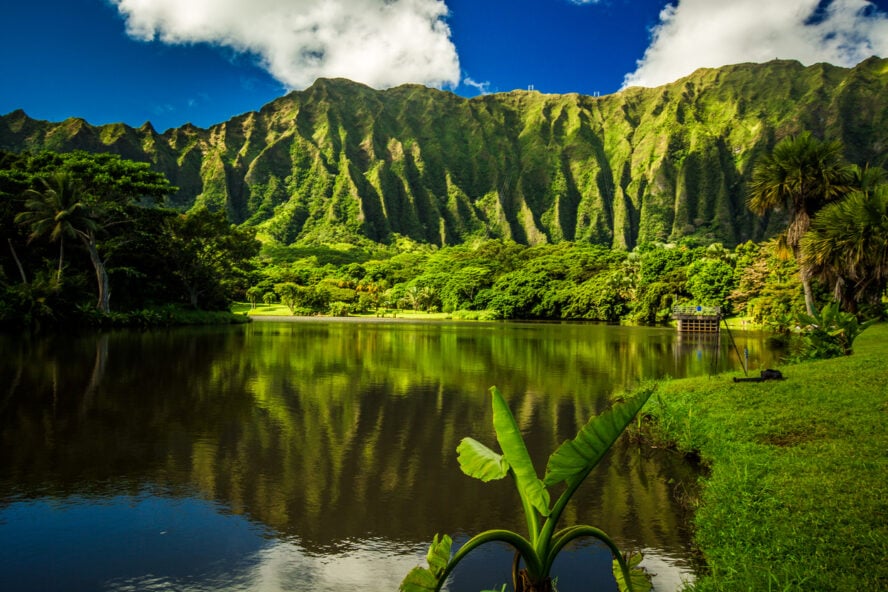 Lakeside view of the Ko’olau Range on Oahu.