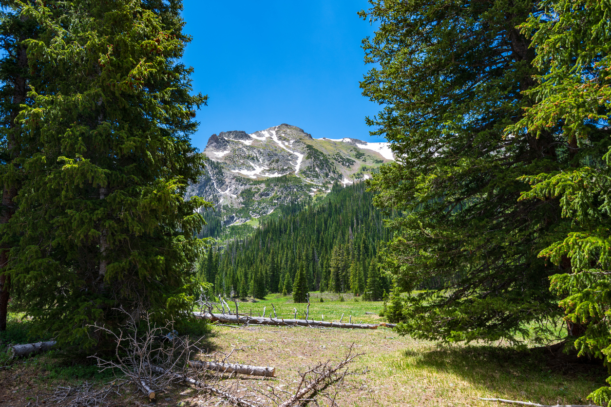 A verdant valley at Cameron Pass in Colorado’s State Forest State Park.