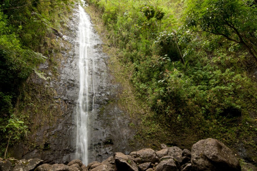 Waterfall at the end of the Manoa Falls Trail in Oahu, Hawaii