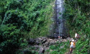 Hikers reaching the Manoa Falls on Oahu