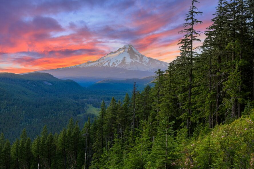 Mount Hood under a setting sun, lit up in a red and purple sky.