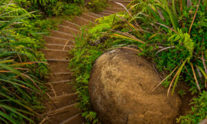 Winding stairs on the Wiliwilinui Trail on Oahu