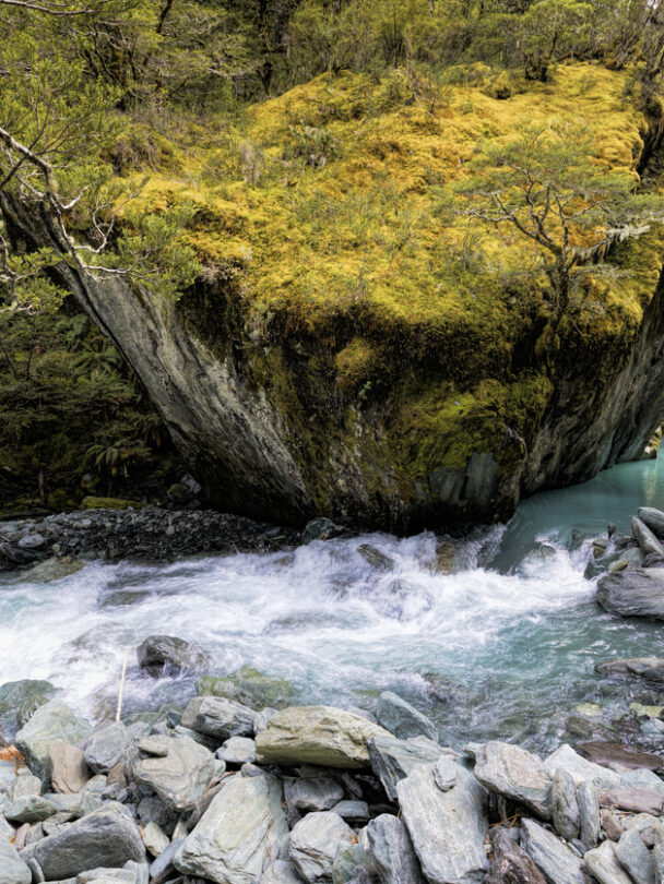 Guided hike & bike tour in the Southern Alps