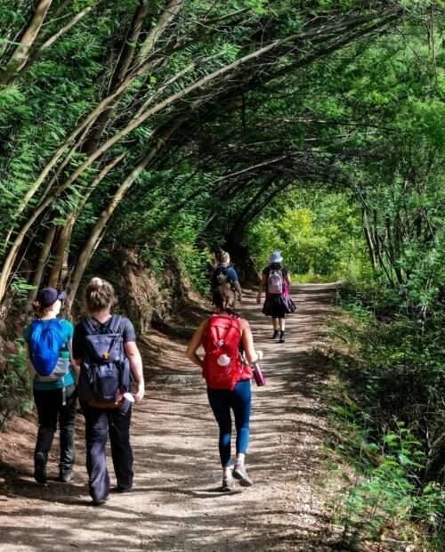 Hiking group along Camino de Santiago