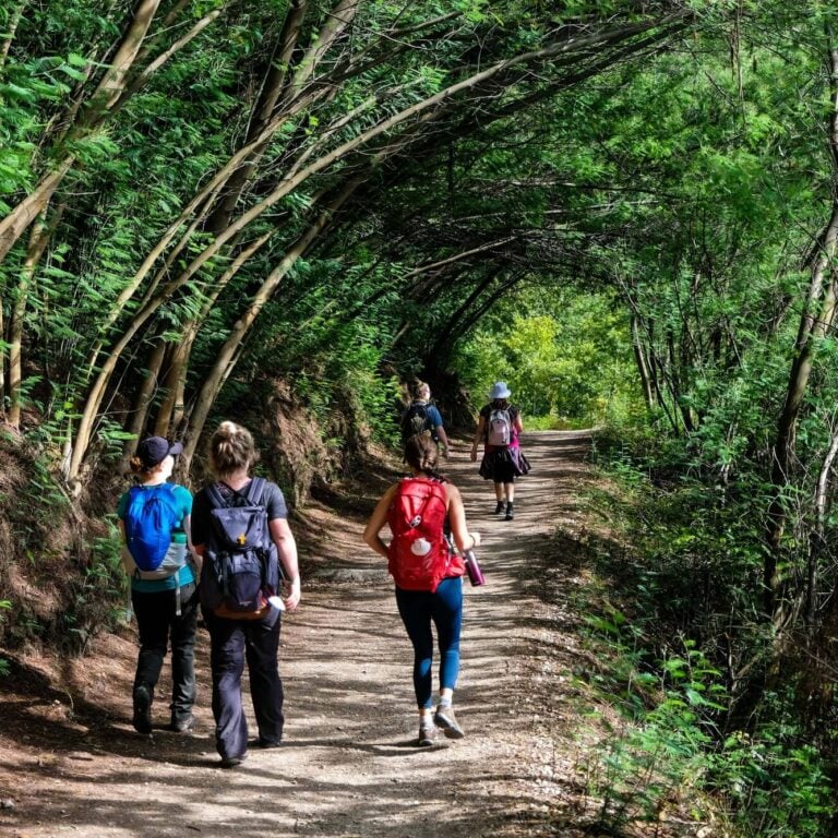 Hiking group along Camino de Santiago