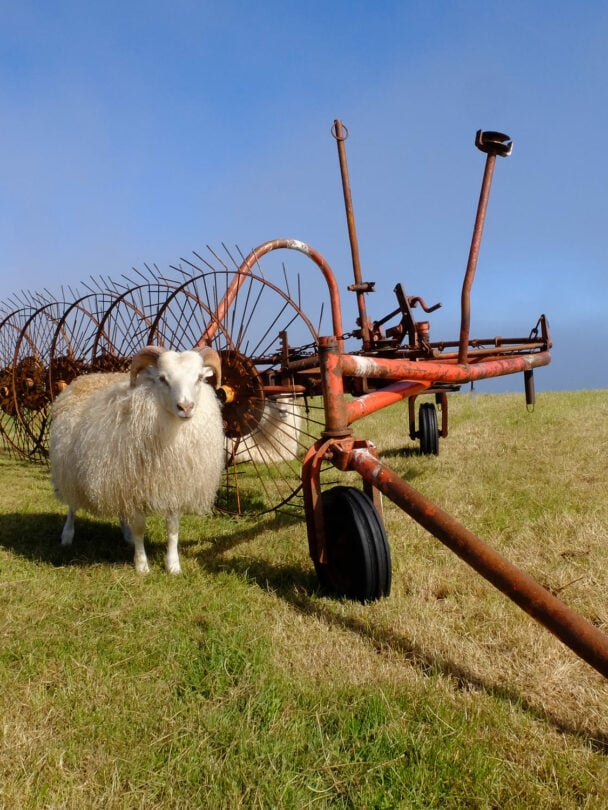 Kayak floating in Iceland
