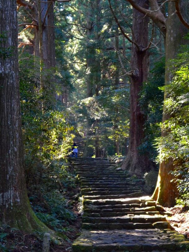 Guided hike and bike tour along Kumano Kodo in Japan