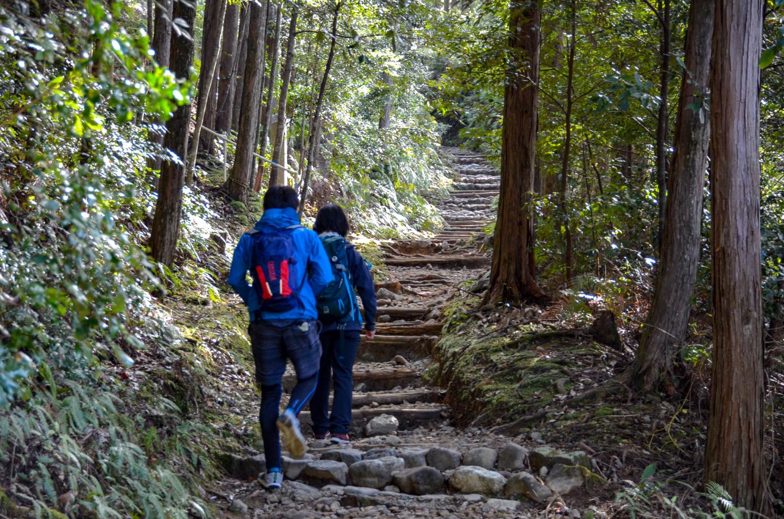 Two hikers going up the steps of Kumano Kodo