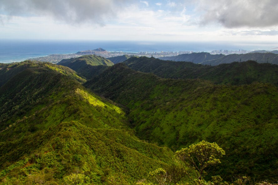 Sweeping view from the top of the Wiliwilinui ridge hike