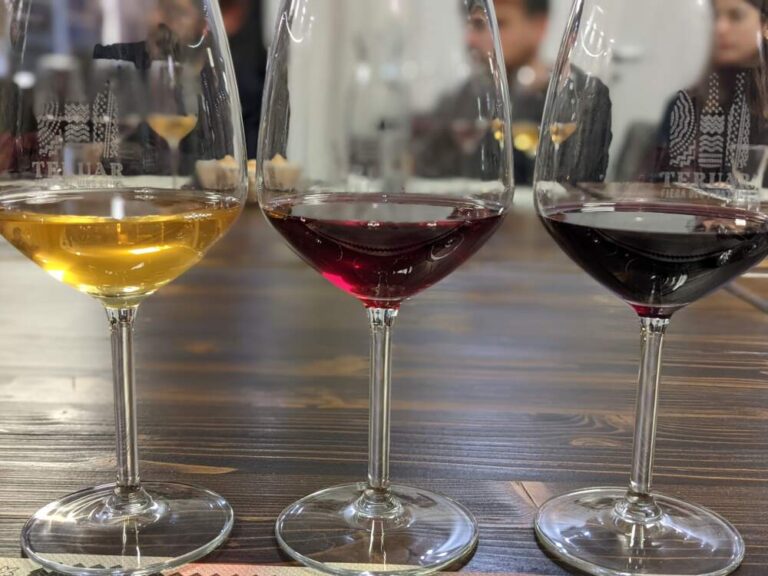 Wine tasting in Sicily