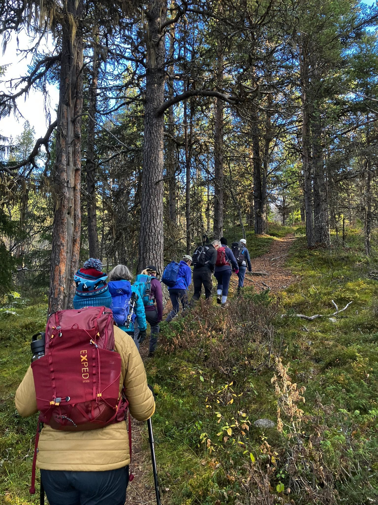 Women trip in woods in Norway